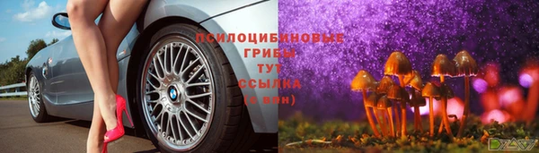 СК Алексин
